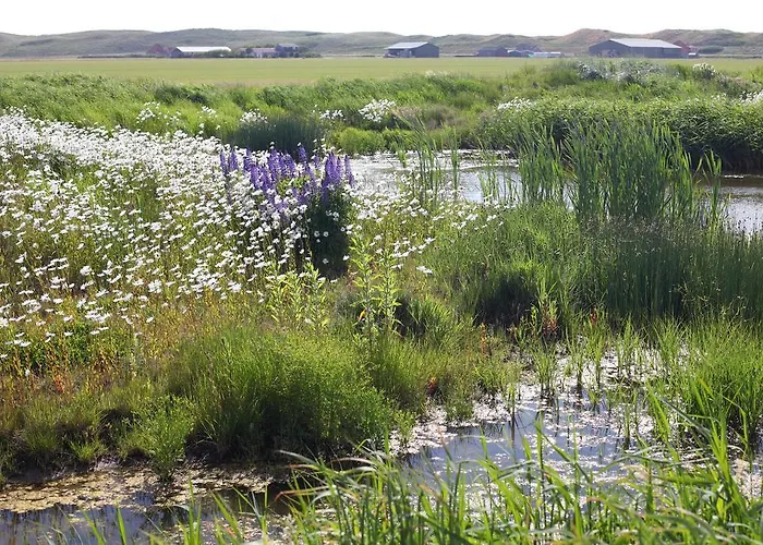 Chalet Chalet Callassande Callantsoog