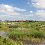 Domek alpejski Chalet Callassande *