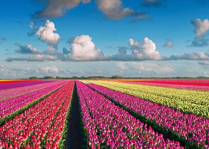 Chalet Callassande * Callantsoog